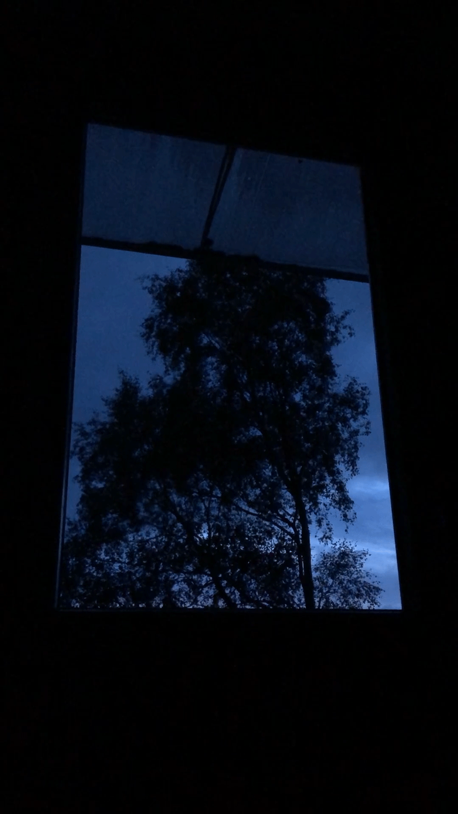 Window at night loop of a tree swaying in the wind