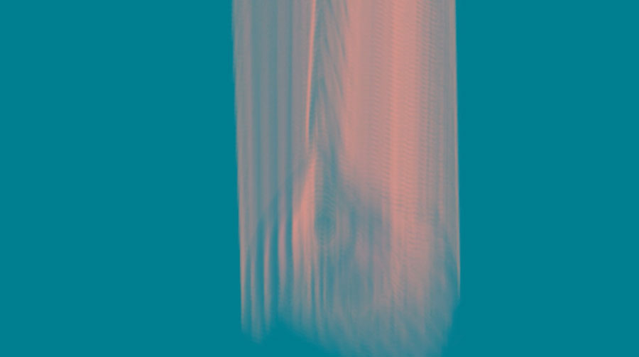 Bird still from animation Tall Grass