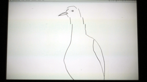 A drawing of a pigeon displayed in a browser window that is shaking due to a loose connection